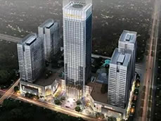 �Ռ��Ǻ�coco city