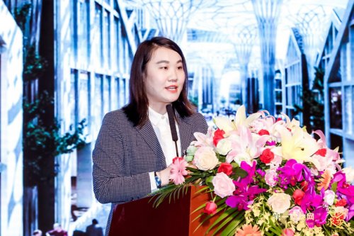 ����OӋ���¿������������v